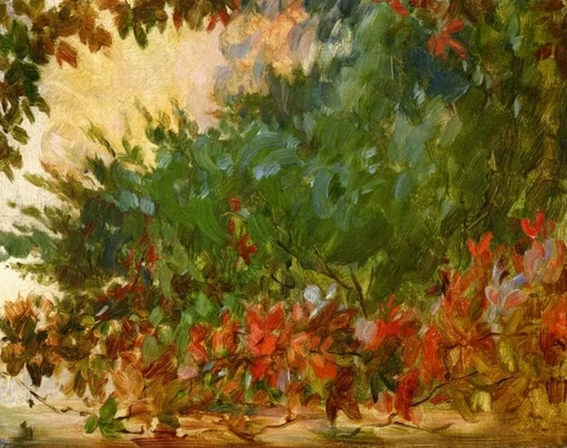Natura
